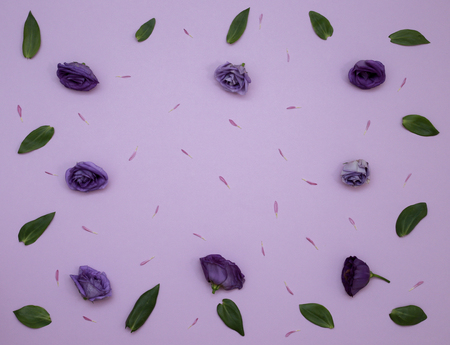 Flower Pattern Top View On Color Paper For The Backgroundの写真素材