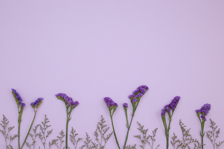 Flower Pattern Top View On Color Paper For The Backgroundの写真素材