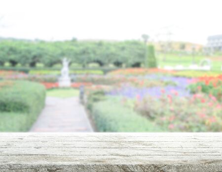 Table Top And Blur Nature For The Backgroundの写真素材