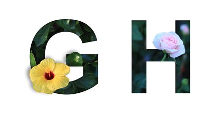Font with flower G-H made form the flower for desing decorationの写真素材