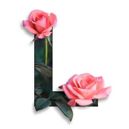Font with flower L made form the flower for desing decorationの写真素材