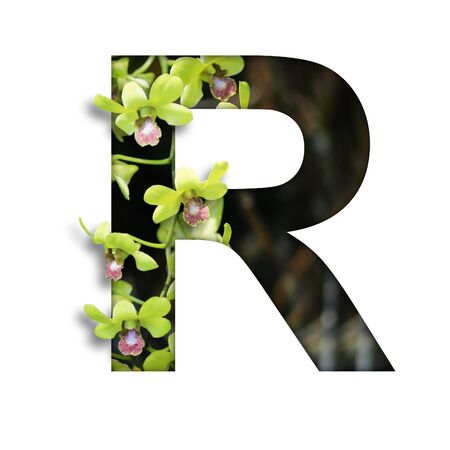 Font with flower R made form the flower for desing decorationの写真素材