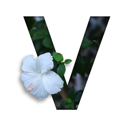 Font with flower V made form the flower for desing decorationの写真素材