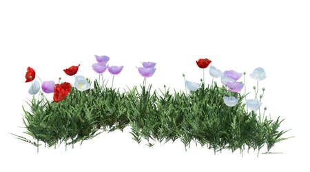 3d Render Brush Tree Isolated  on white backgroundの写真素材