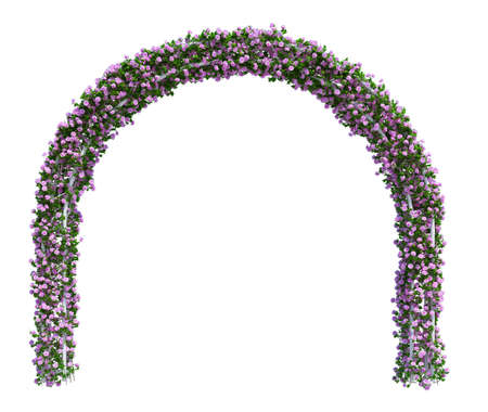 3d Render Ivy Plants  Isolated  on white backgroundの写真素材