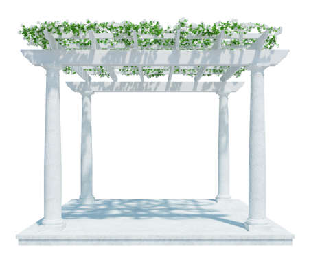 3d Render Ivy Plants  Isolated  on white backgroundの写真素材