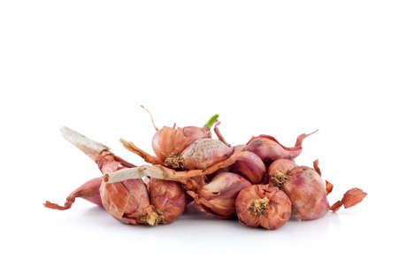 Small red onion it s vegetables in Asianの写真素材