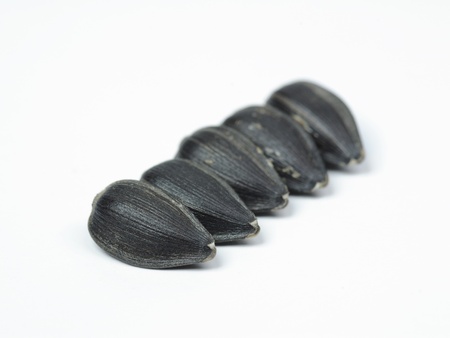 Sunflower seeds