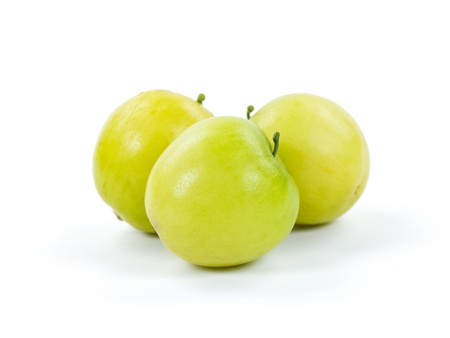 Jujube or Monkey appleの写真素材