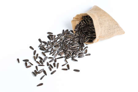 Sunflower seeds isolated on white backgroundの写真素材