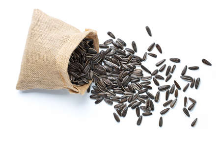 Sunflower seeds isolated on white backgroundの写真素材