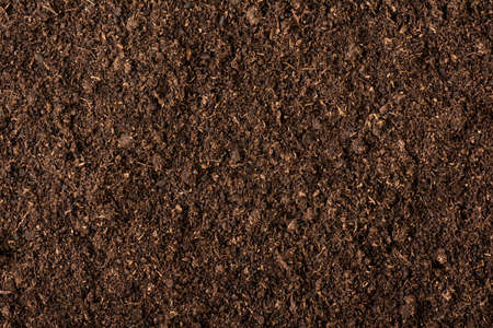 Peat moss soil texture backgroundの写真素材