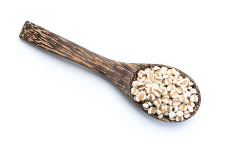 Jobâs Tears isolated on white backgroundの写真素材