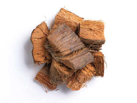 Coconut husk sed for plant propagation or plant the orchid