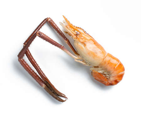 top view of river prawns on white background