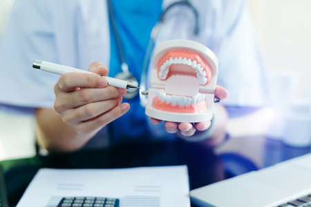 Concentrated dentist sitting at table with jaw samples tooth model and working with laptop in dental...