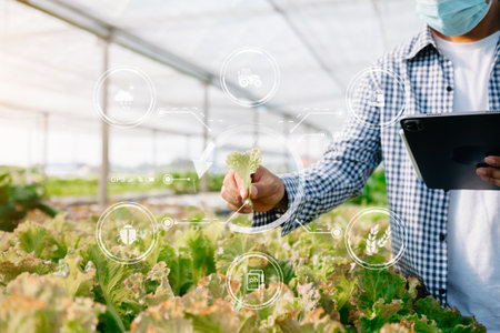 Man hands gardening lettuce in farm  with growth process and chemical formula on green background. With visual iconの写真素材