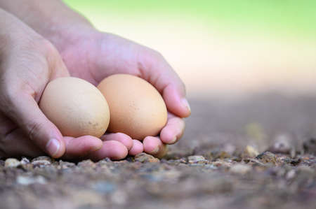 Asia woman's hand holds a pair of chicken eggs in blurred background of farm