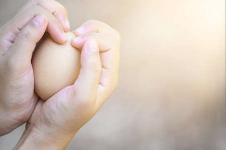 Asia woman's hand holds a pair of chicken eggs in blurred background of farmの写真素材