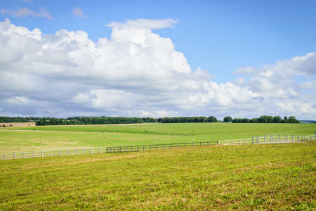 Field and blue sky with cloud backgroundの写真素材