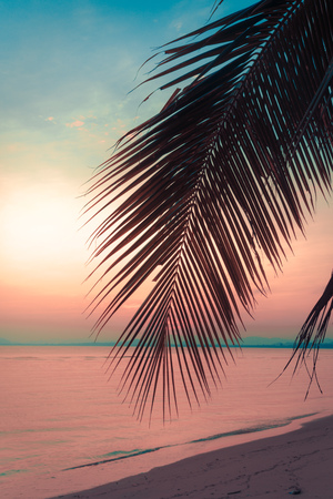 Silhouette coconut palm trees on beach at sunset. Vintage tone.の写真素材