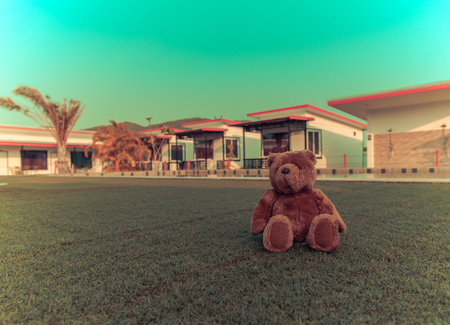 Teddy bear on grass. Vintage tone.の写真素材