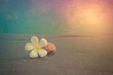 White plumeria stone and  near swimming pool. Vintage toneの写真素材