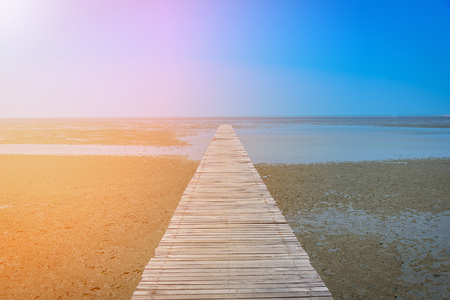 Wooden bridge in mangrove forest with blue sky background.