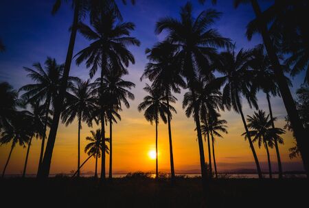 Silhouette coconut palm trees on beach at sunset. Vintage tone.の写真素材