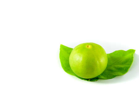 Lime with leaf isolated on a white background.の写真素材