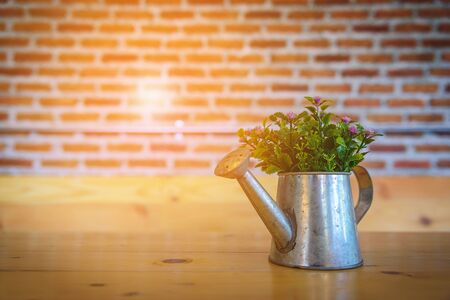 Flower pot on wooden table with blurred red brick wall.の写真素材