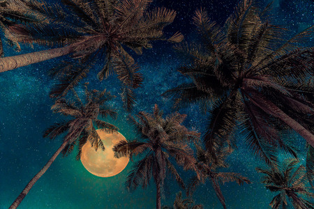 Silhouette coconut palm tree with the full Moon and Milky way galaxy on night sky. Vintage tone...
