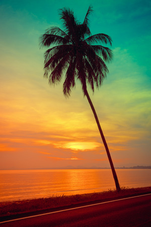 Silhouette coconut palm trees on beach at sunset. Vintage tone.の写真素材