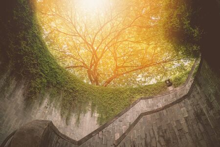 Spiral staircase at Fort Canning Park, Singapore. Vintage toneの写真素材