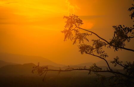 Silhouette branch tree at sunset over mountainsの写真素材