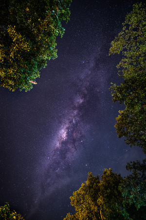 Landscape with Milky way galaxy. Night sky with stars and silhouette trees. Long exposure photograph.の写真素材