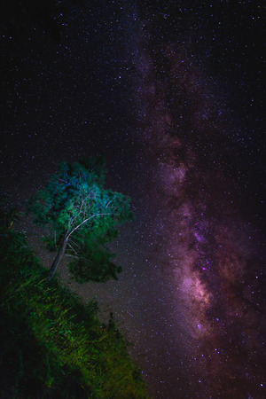Landscape with Milky way galaxy over tree. Night sky with stars. Long exposure photograph.の写真素材