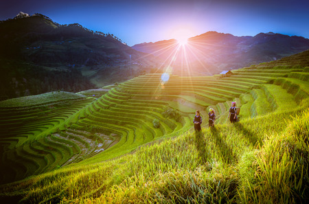 MU CANG CHAI, VIETNAM, September 19 , 2017:  Vietnamese children walking home on harvest rice field at sunset in Mu Cang Chai, Yenbai, northwestern Vietnam.のeditorial素材