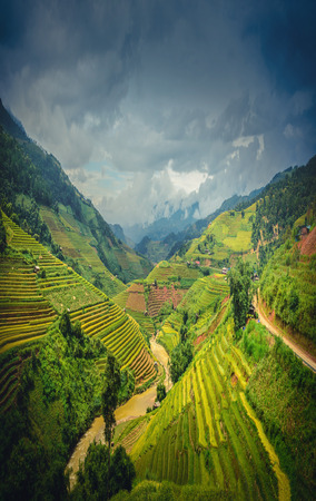 Rice fields on terraced at dramatic sky background in Mu Cang Chai, YenBai, Vietnam.の写真素材