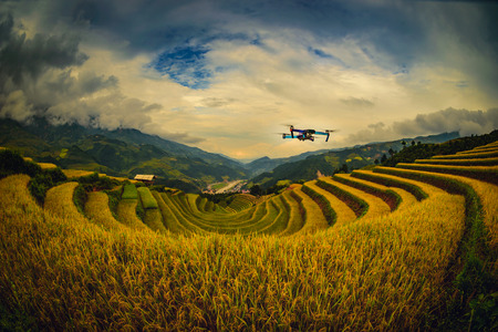 Modern Drone with camera flying on rice fields terraced at sunset in Mu Cang Chai, YenBai, Vietnam.の写真素材