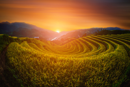 Rice fields on terraced with wooden pavilion at sunset in Mu Cang Chai, YenBai, Vietnam.の写真素材