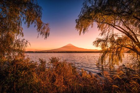 Mt. Fuji over Lake Kawaguchiko with autumn foliage at sunset in Fujikawaguchiko, Japan.の写真素材