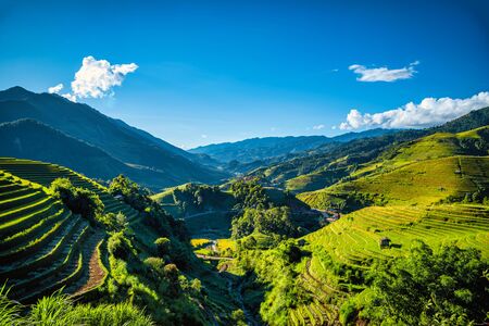 Rice fields on terraced with wooden pavilion on blue sky background in Mu Cang Chai, YenBai, Vietnam.の写真素材