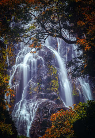 Sunantha waterfall with autumn tree in Nakhon Si Thammarat province , Thailand.