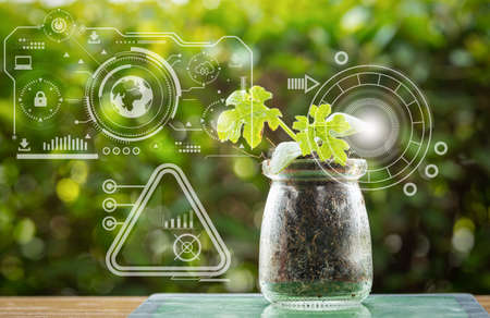 Plant tissue culture growing in laboratory bottles on green blurred background for biotechnology,...