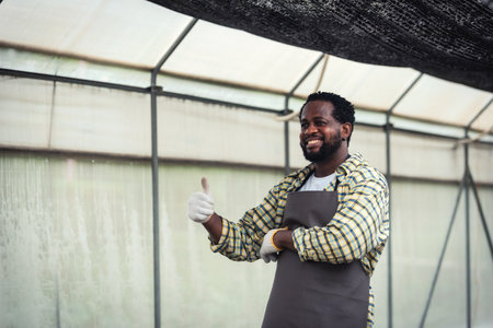 Portrait of Smiling African man farmer holding a crate of fresh plant at plantation in industrial greenhouse.の写真素材