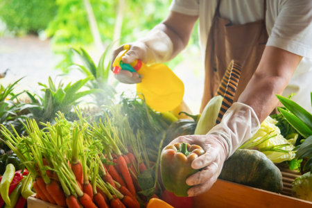 Farmer standing in the farm and selecting vegetables for sale. Selective focusの写真素材