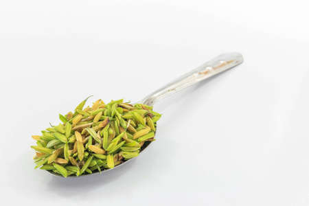 Rice is an important economic crop plants in Thailand and is also consumed as a staple food.の写真素材