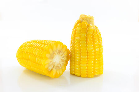 Two yellow corn that is placed on a white background.の写真素材