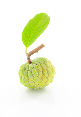custard apple that is placed on a white background.の写真素材